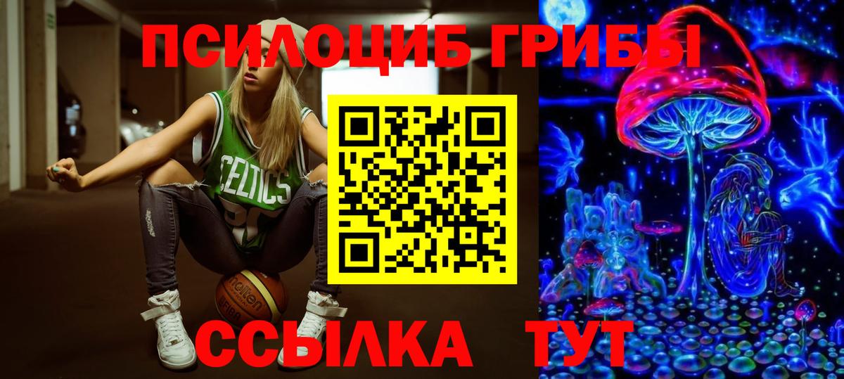 Стрежевой  Псилоцибиновые грибы мицелий  Вход с VPN 